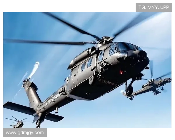 哈飞直20旋翼防冰技术攻克高原飞行难题