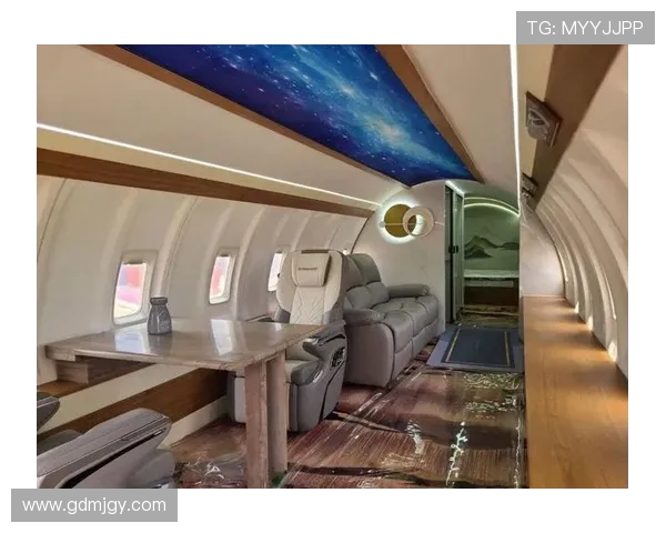 飞机客舱内饰的环保性材料应用